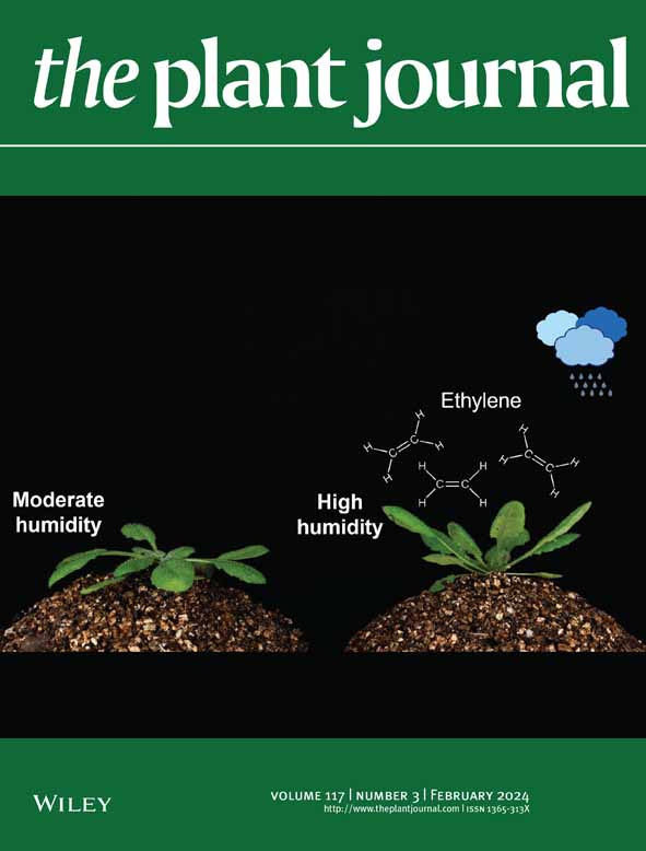 A New Approach to Detect and Semi-quantify All Molecular Species and Classes of Anionic Phospholipids Simultaneously in Plant Samples