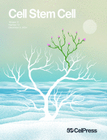 A Cartilaginous Organoid System Derived From Human Expanded Pluripotent Stem Cells (hEPSCs)