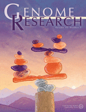 Mapping the Simultaneously Accessible and ssDNA-Containing Genome With KAS-ATAC Sequencing