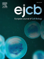 Cover of European Journal of Cell Biology, featuring study using the protocol.