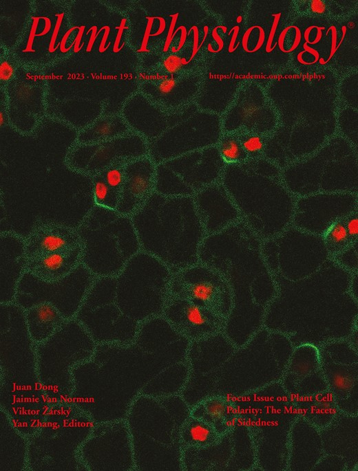 Cover of Plant Physiology, featuring study using the protocol.