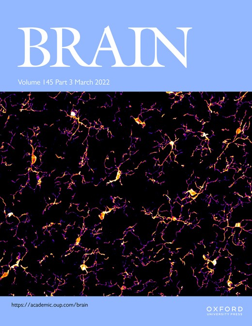 Cover of Brain, featuring study using the protocol.