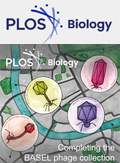 Cover of PLOS Biology, featuring study using the protocol.