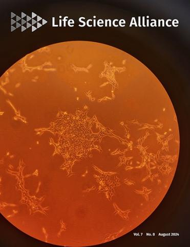 Cover of Life Science Alliance, featuring study using the protocol.