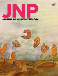 Cover of Journal of Neurophysiology, featuring study using the protocol.