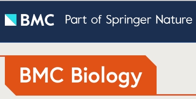 RACE-Nano-Seq: Profiling Transcriptome Diversity of a Genomic Locus