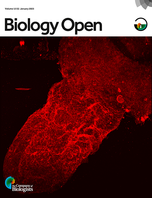 Live Cell Imaging to Monitor Axonal Pruning in Drosophila Motor Neurons