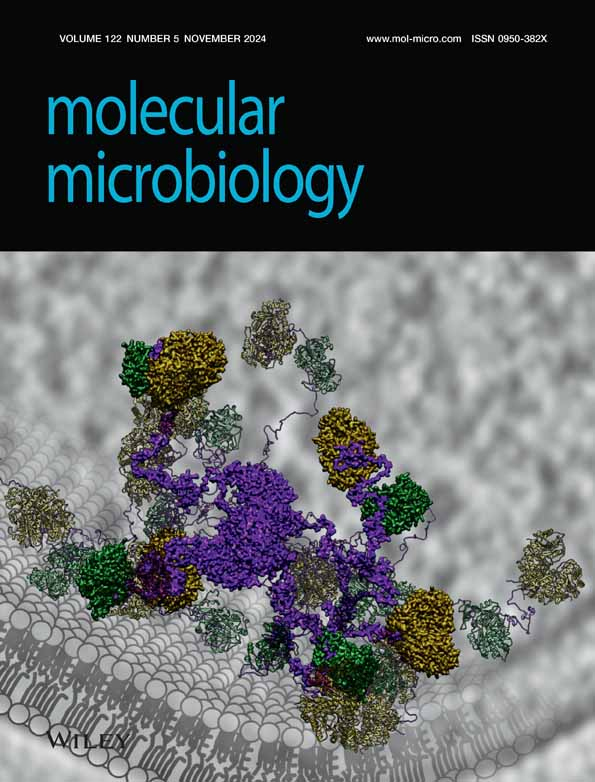 Untargeted Metabolomics of Epimastigote Forms of Trypanosoma cruzi