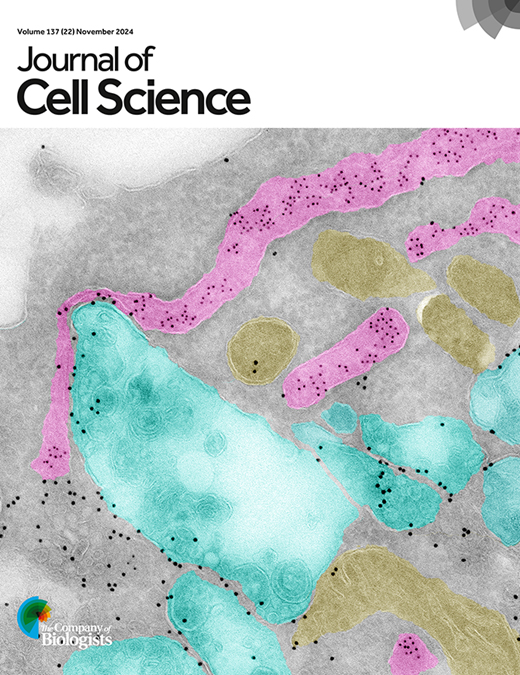 Cover of Journal of Cell Science, featuring study using the protocol.