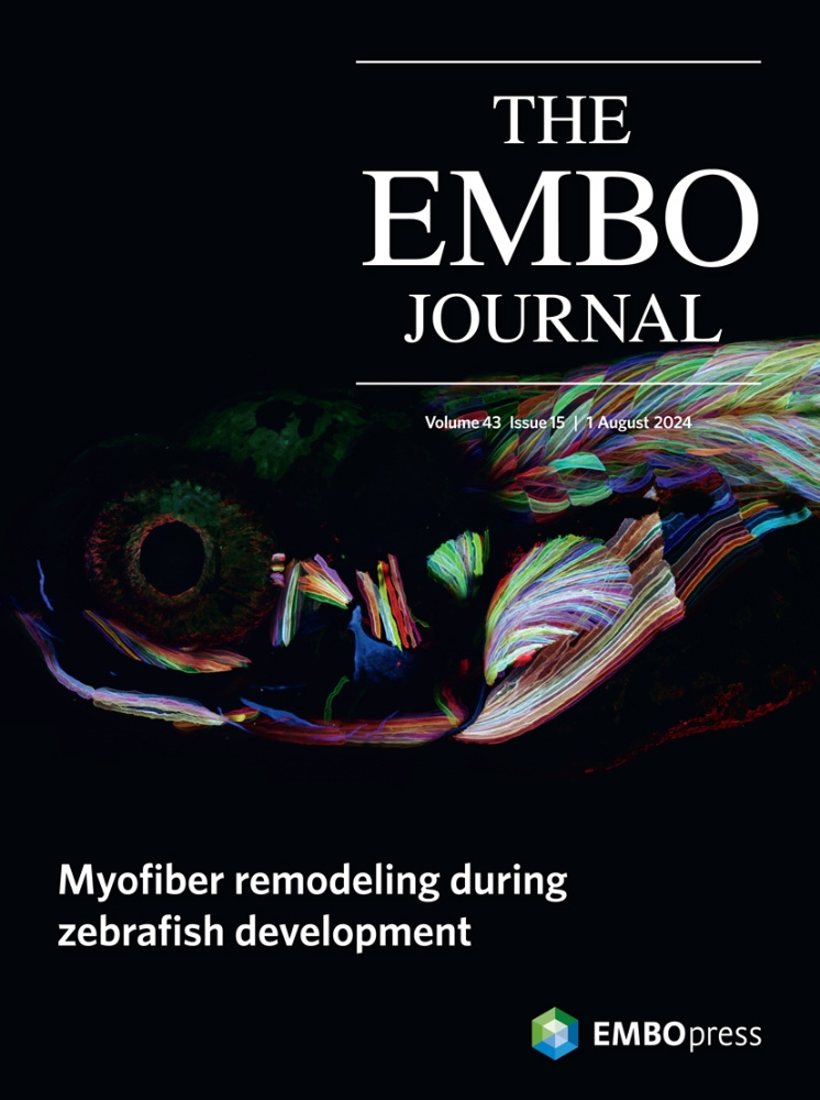 Direct Activity Measurement of Heterotrimeric Gi Proteins and Gq Protein By Effector Pulldown