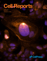 Cover of Cell Reports, featuring study using the protocol.