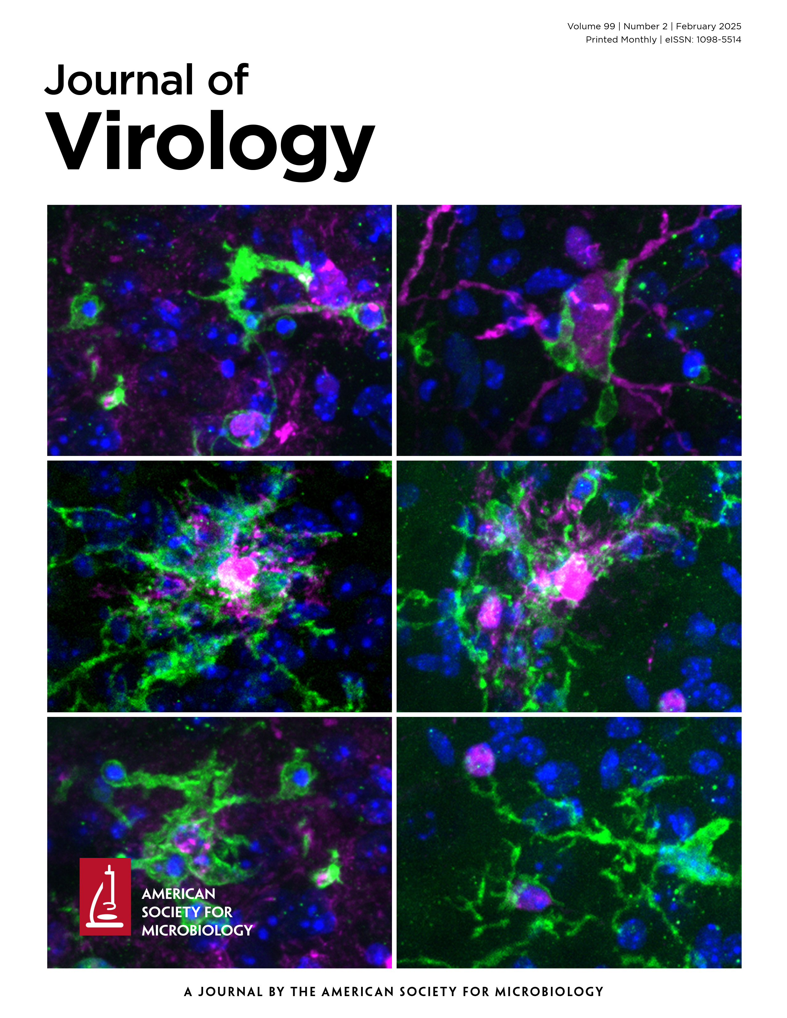Cover of Journal of Virology, featuring study using the protocol.