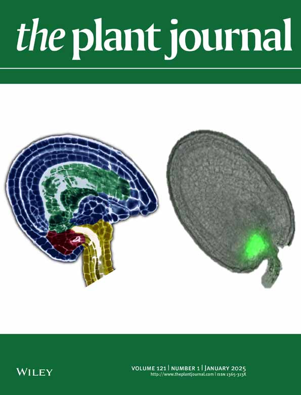 Cover of The Plant Journal, featuring study using the protocol.