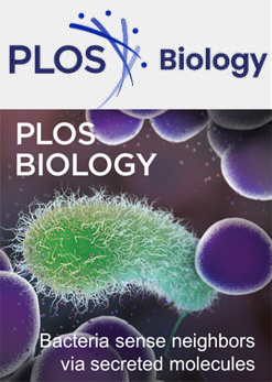 Cover of PLOS Biology, featuring study using the protocol.