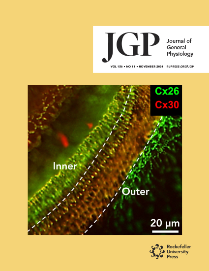 Cover of Journal of General Physiology, featuring study using the protocol.
