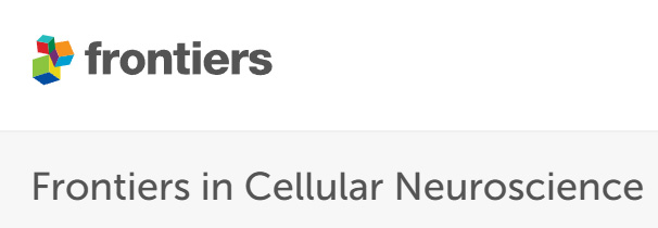 Cover of Frontiers in Cellular Neuroscience, featuring study using the protocol.