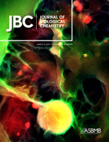 Cover of The Journal of Biological Chemistry, featuring study using the protocol.