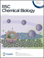 Cover of RSC Chemical Biology, featuring study using the protocol.