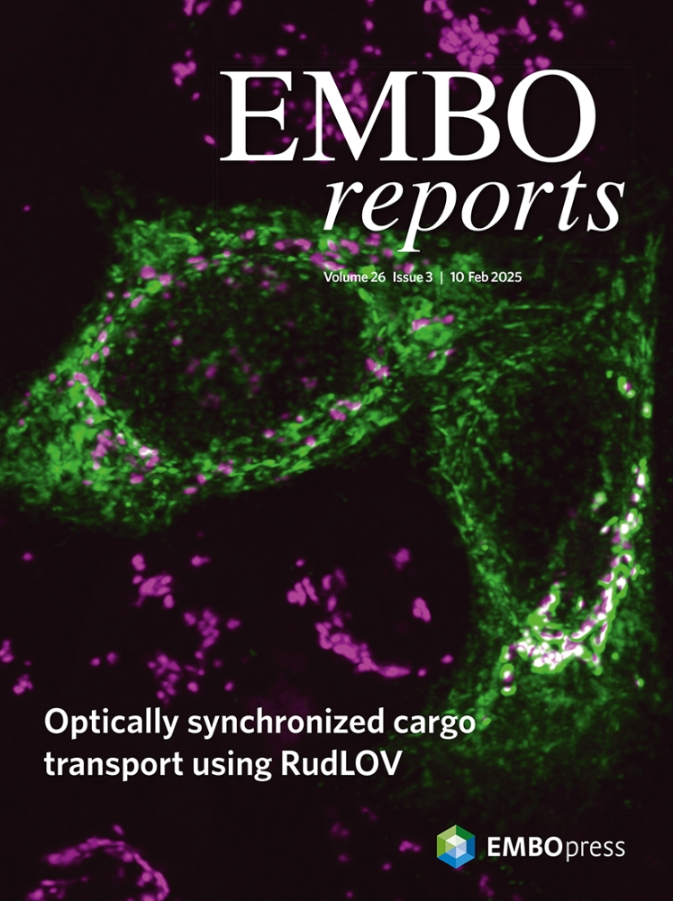 Cover of EMBO Reports, featuring study using the protocol.