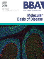 Cover of Biochimica et Biophysica Acta (BBA) - Molecular Basis of Disease, featuring study using the protocol.