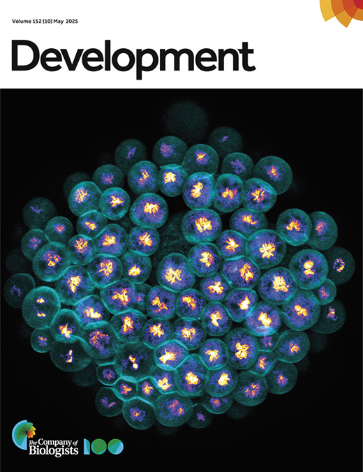 Cover of Development, featuring study using the protocol.