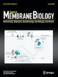 Cover of The Journal of Membrane Biology, featuring study using the protocol.