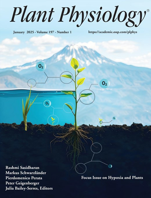Cover of Plant Physiology, featuring study using the protocol.