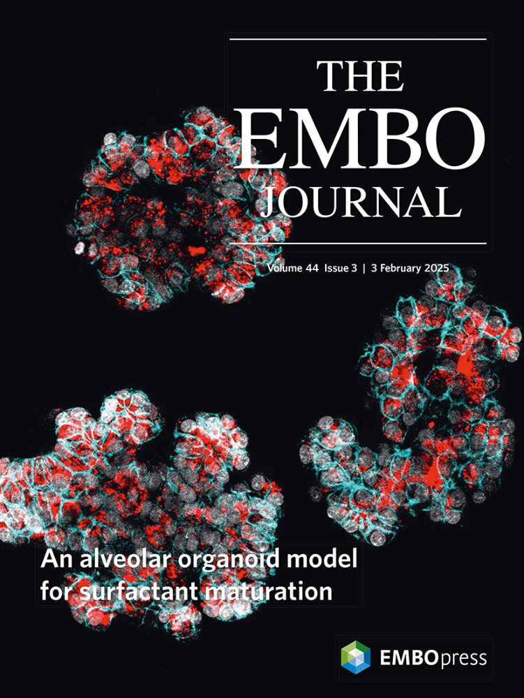 Cover of The EMBO Journal, featuring study using the protocol.