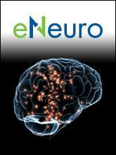 Cover of eNeuro, featuring study using the protocol.
