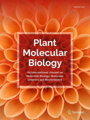 Cover of Plant Molecular Biology, featuring study using the protocol.
