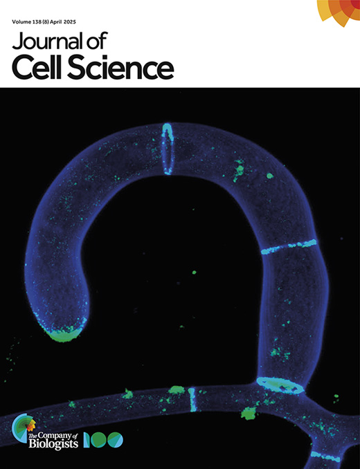 Cover of Journal of Cell Science, featuring study using the protocol.