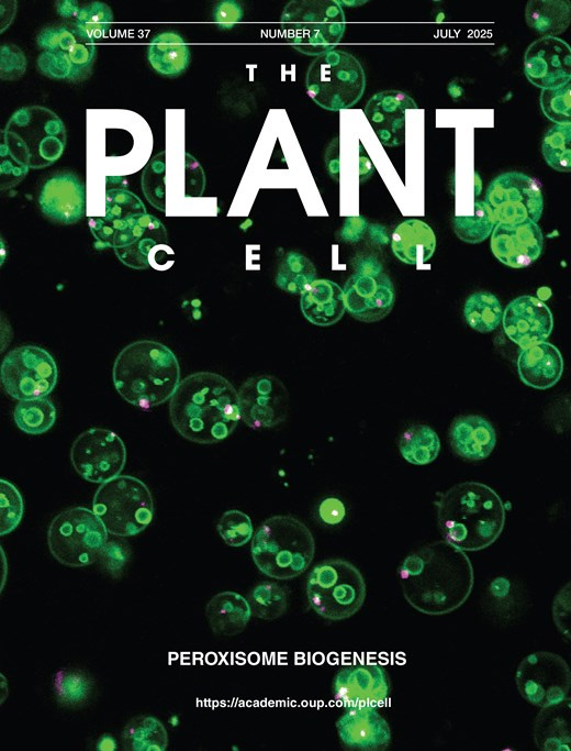 Cover of The Plant Cell, featuring study using the protocol.
