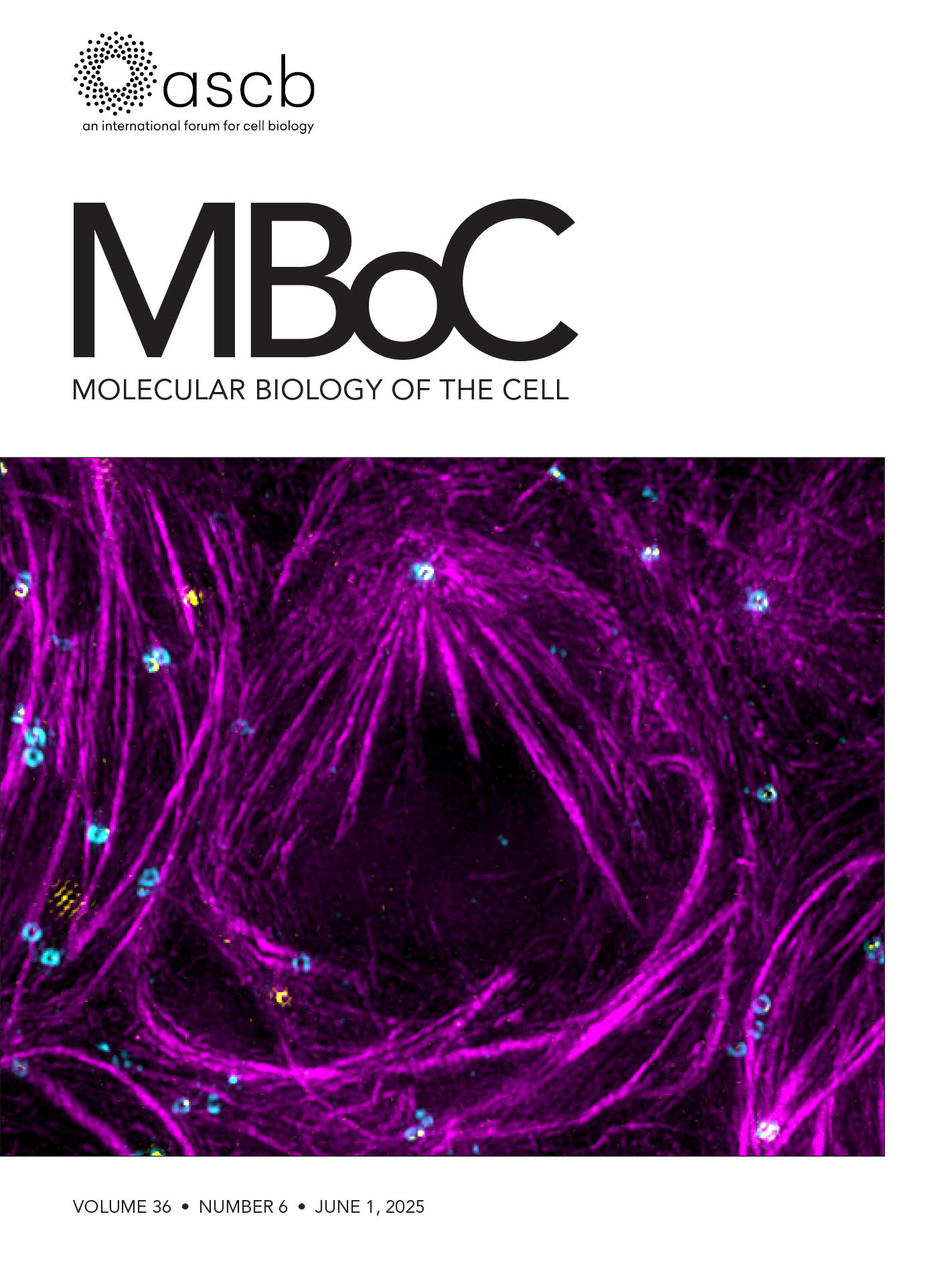 Cover of Molecular Biology of the Cell, featuring study using the protocol.
