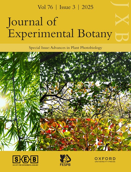 Cover of Journal of Experimental Botany, featuring study using the protocol.