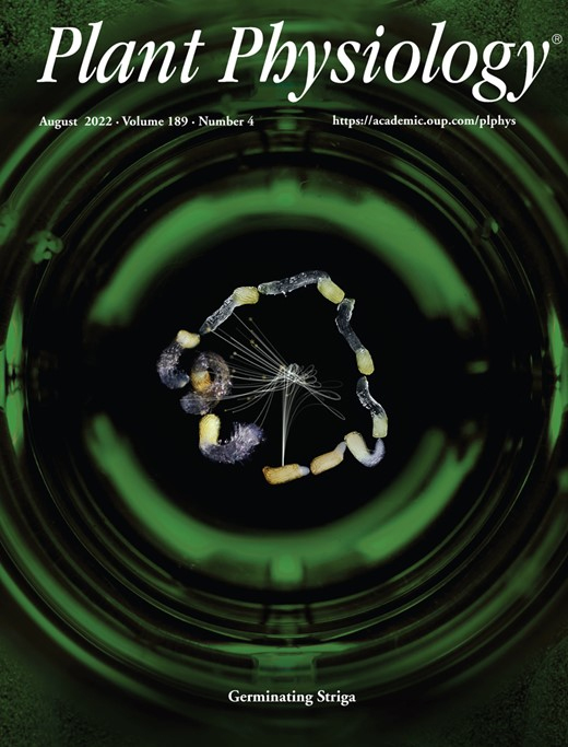 Cover of Plant Physiology, featuring study using the protocol.
