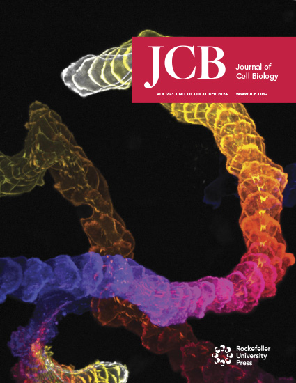 Cover of The Journal of Cell Biology, featuring study using the protocol.