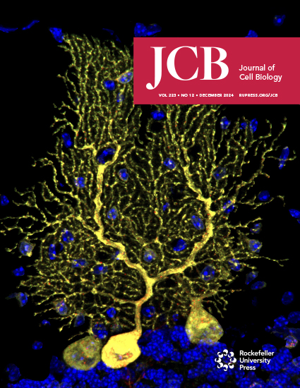 Cover of The Journal of Cell Biology, featuring study using the protocol.