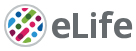 Cover of eLIFE, featuring study using the protocol.