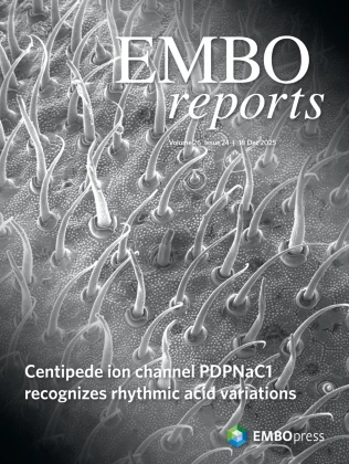 Cover of EMBO Reports, featuring study using the protocol.