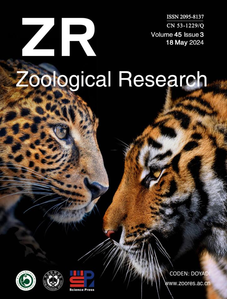 Cover of Zoological Research, featuring study using the protocol.