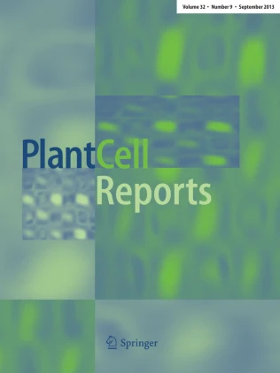 Cover of Plant Cell Reports, featuring study using the protocol.