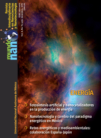 Cover of Mundo Nano. Revista Interdisciplinaria en Nanociencias y Nanotecnología, featuring study using the protocol.