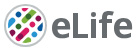 Cover of eLIFE, featuring study using the protocol.