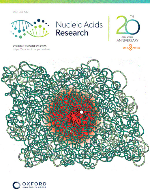 Cover of Nucleic Acids Research, featuring study using the protocol.