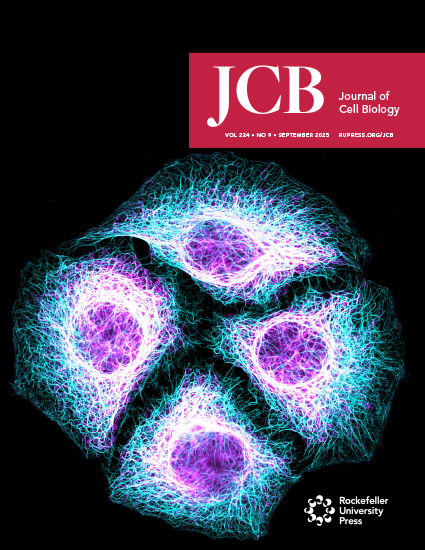 Cover of The Journal of Cell Biology, featuring study using the protocol.