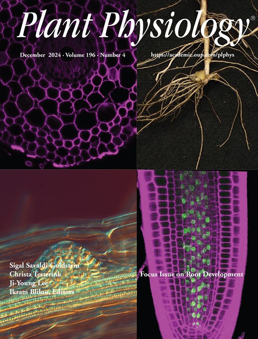 Cover of Plant Physiology, featuring study using the protocol.