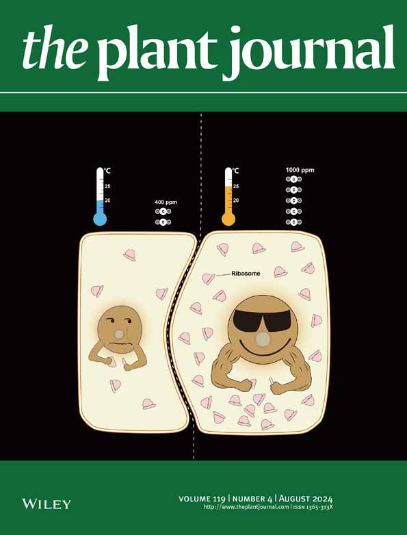 Cover of The Plant Journal, featuring study using the protocol.