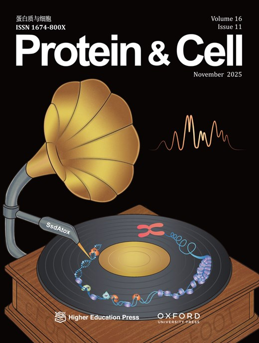 Cover of Protein & Cell, featuring study using the protocol.