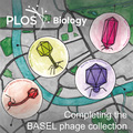 Cover of PLOS Biology, featuring study using the protocol.