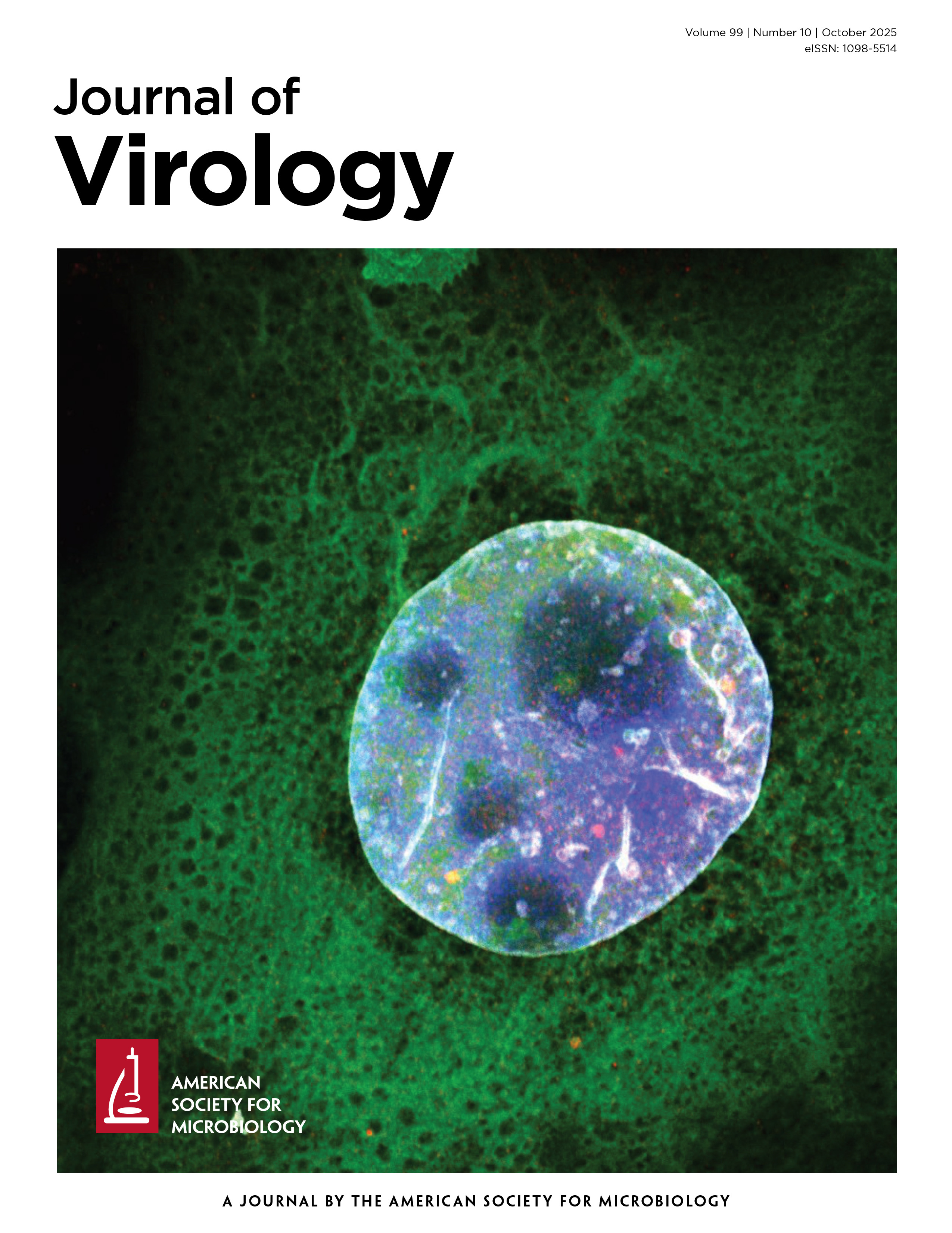 Cover of Journal of Virology, featuring study using the protocol.